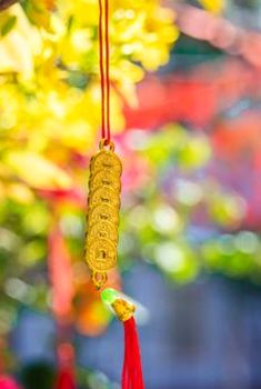 tứ sắc Debet